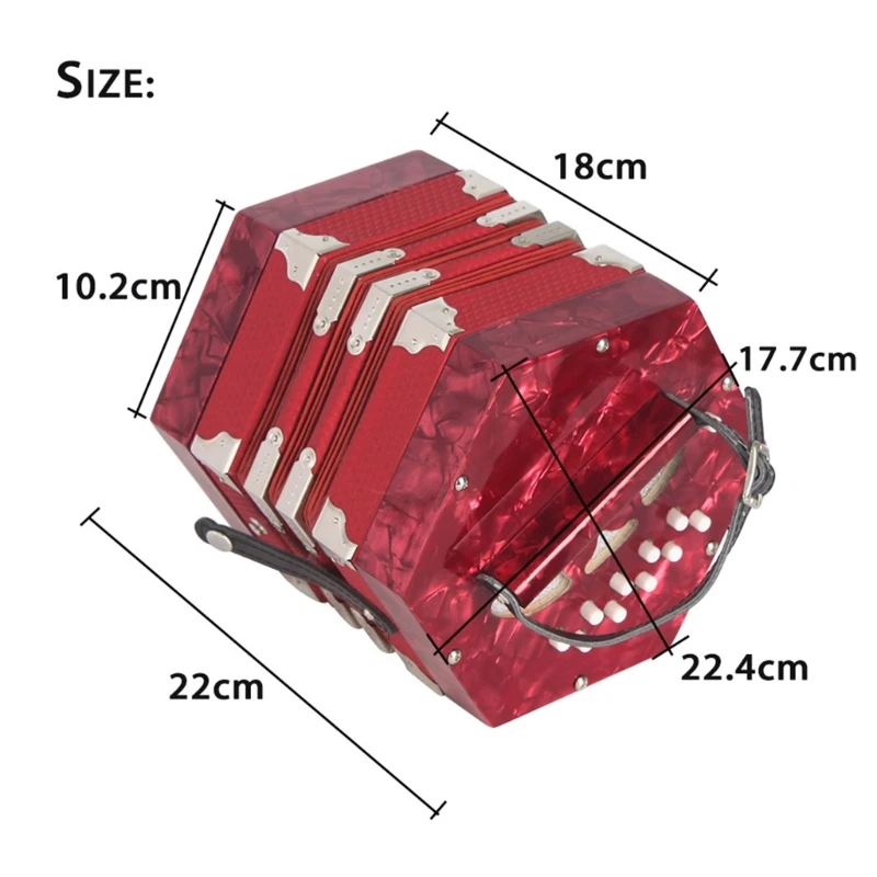 Concertina Accordion 20 Key 40 Hexagon Accordion Portable Mini Accordion Instrument for Beginners and DropShipping