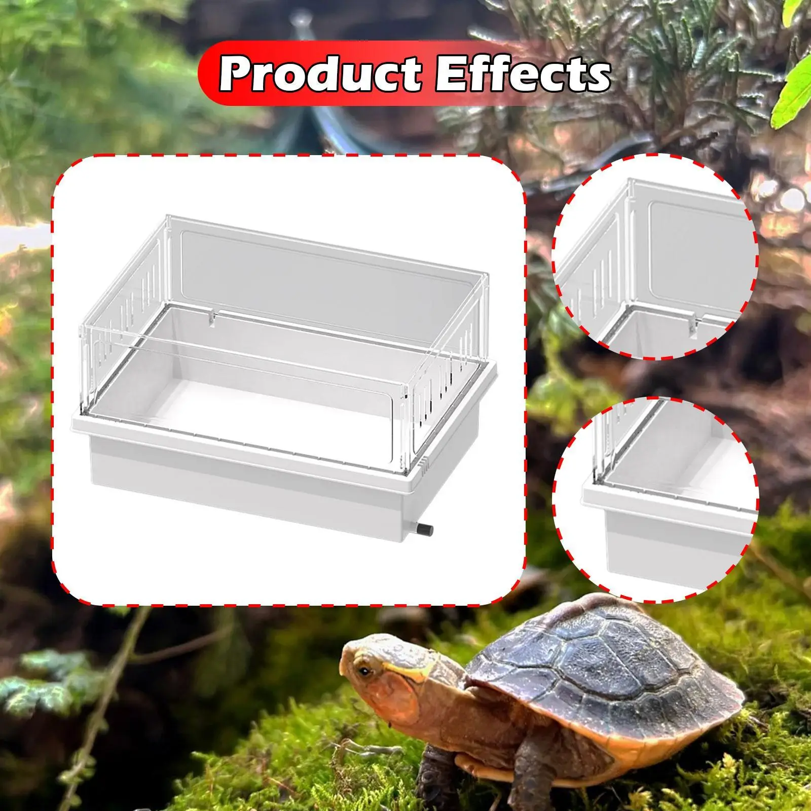 صندوق تغذية شفاف لخزان السلحفاة صندوق تربية برمائيات مع فتحة تصريف للزواحف الصغيرة حوض السمك تررم السلحفاة