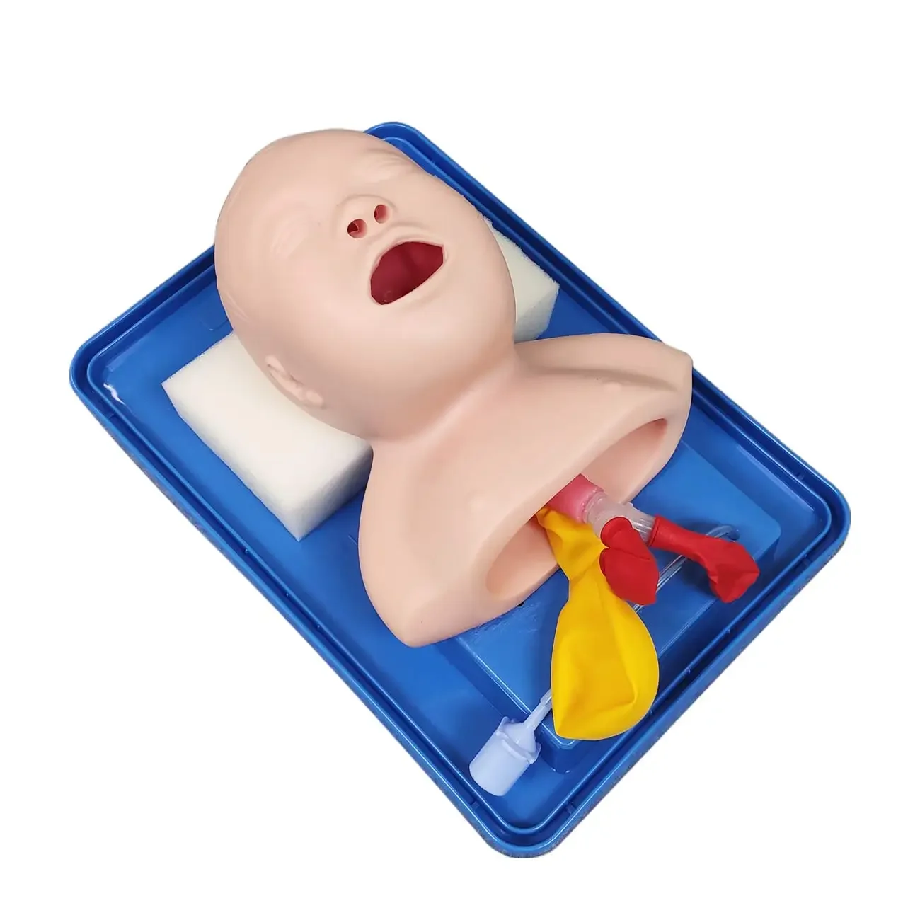 Neonatal Tracheal Intubation Model Infant Tracheal Intubation Training Simulation Model Education Medical Equipment