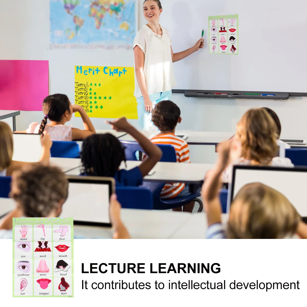 英語単語ウォールチャート 幼児教育ポスター 子供向け早期学習 色認識教育ウォールチャート