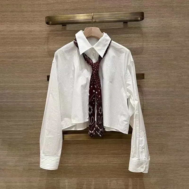 

Женская блузка с длинным рукавом, принтом, декоративным бантом, отложным воротником, вышивкой букв, на одной пуговице, свободного кроя