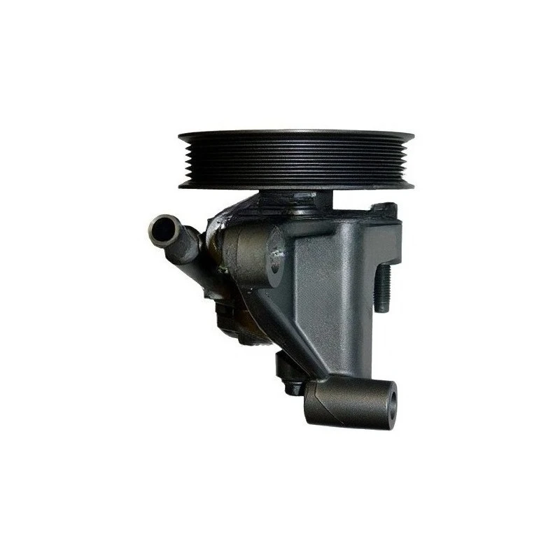 

25754247 25900769 Automotive Power Steering Pump