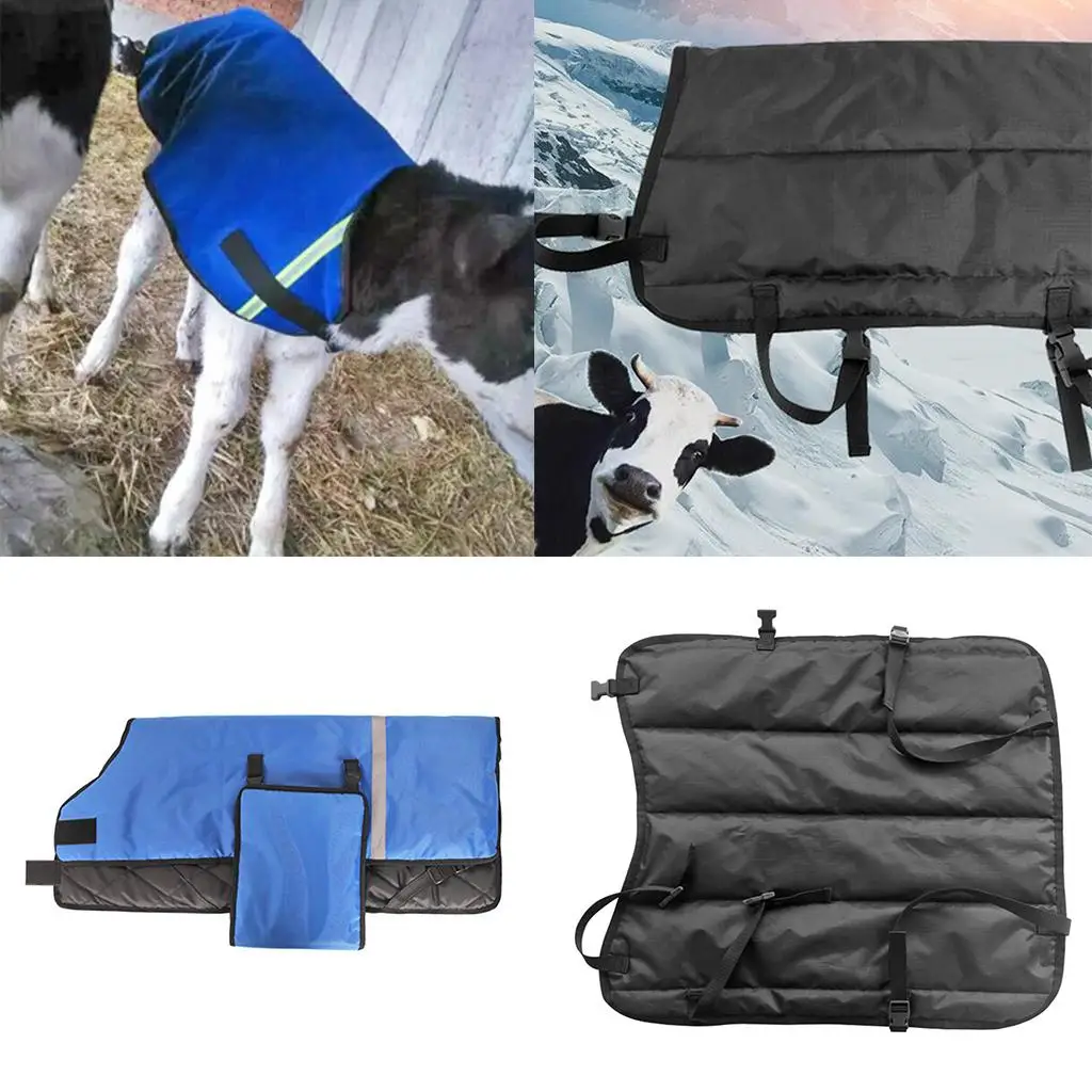

Calf Warm Waistcoat Windproof Oxford Cloth Animal Jacket Wear Resistant for Farm Livestock Care