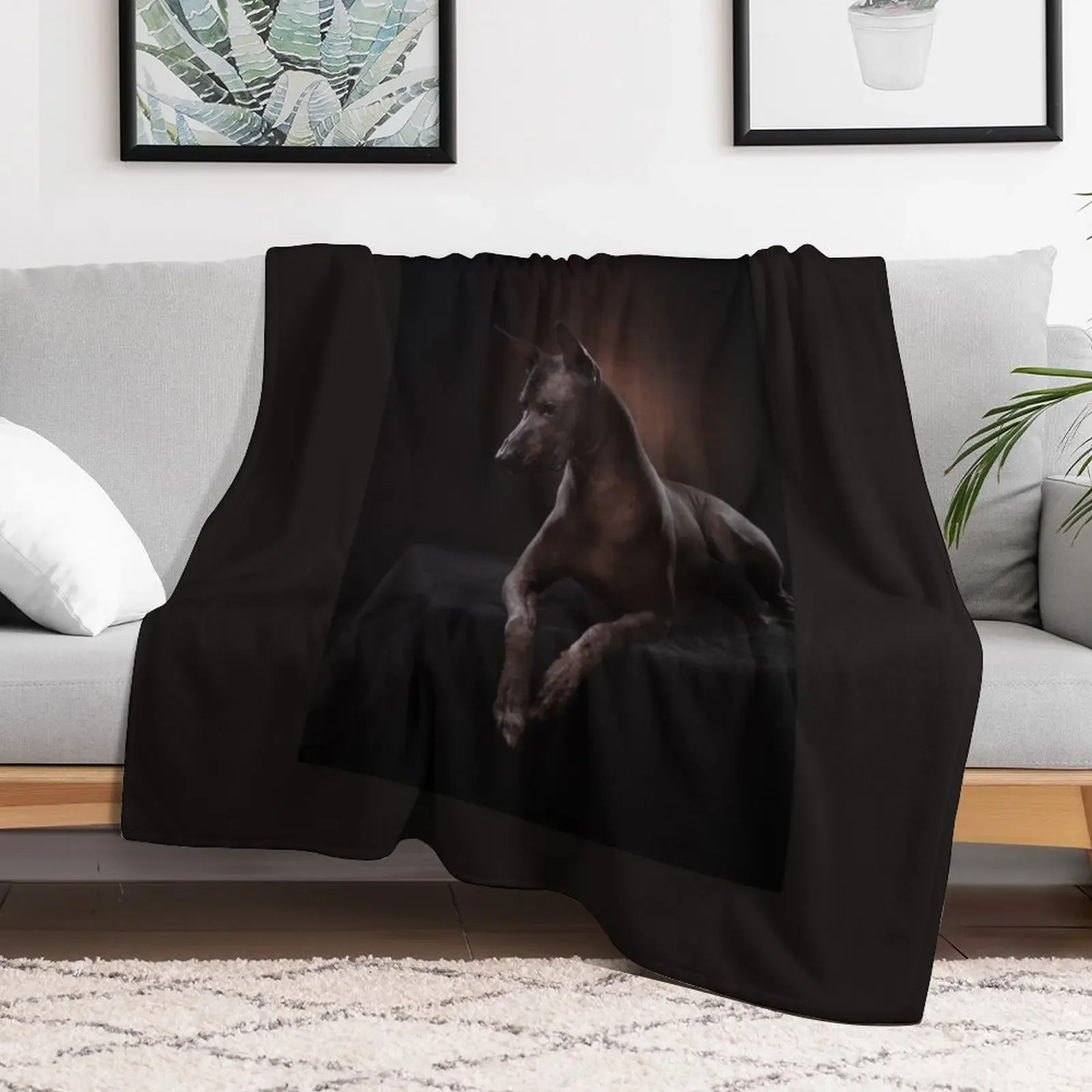 New Xoloitzcuintle Throw Blanket Fashion Sofas Luxury Throw Decorative Beds Blankets