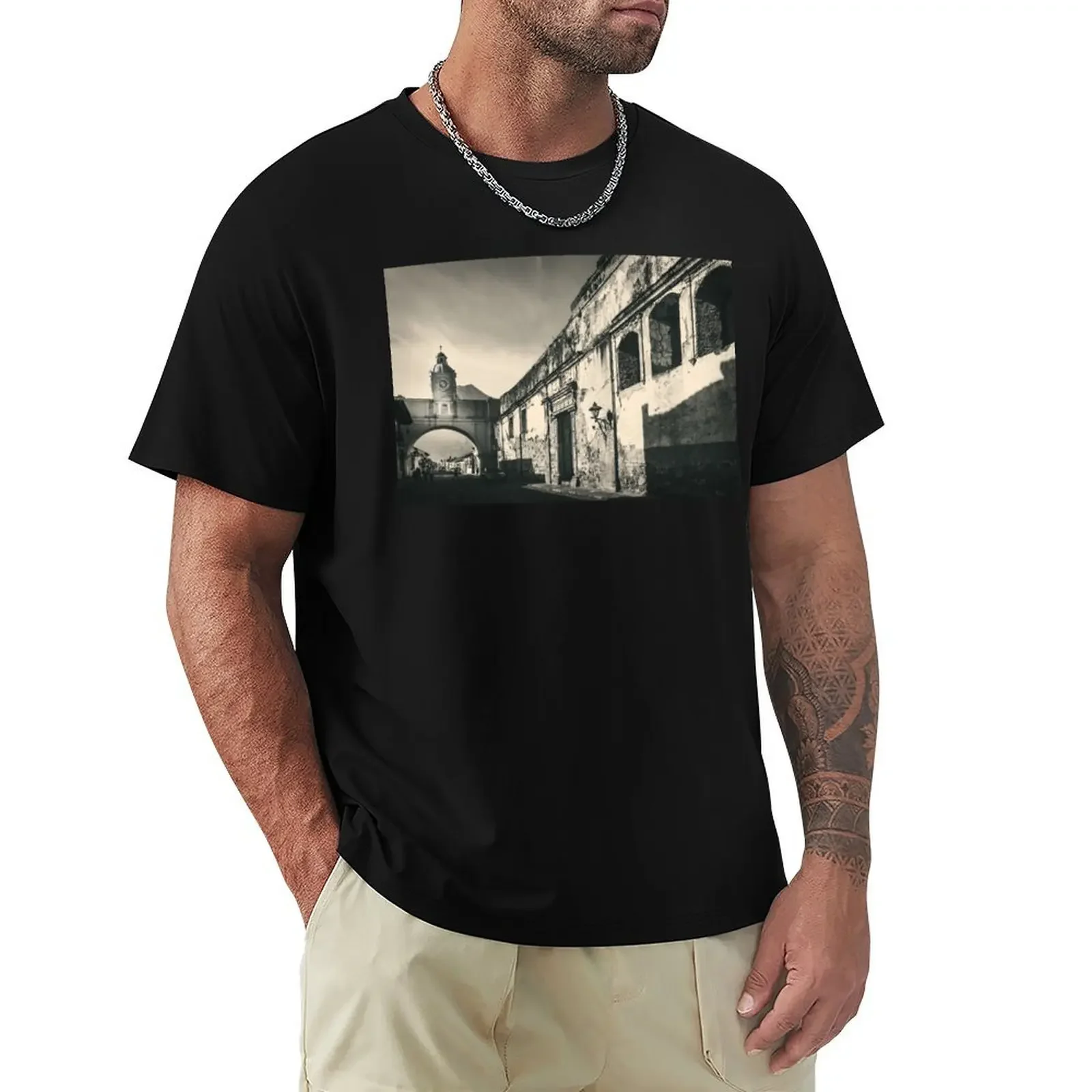 Antique buildings in Antigua, Guatemala T-Shirt animal prinfor boys customizeds Aesthetic clothing sweat Men's cotton t-shirt