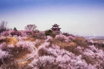 

4pcs 1.0" Metal Beadlock Wheel Tire Set For 1/18 RC Crawler Car TRX4M SCX24 Upgrade Parts Accessories