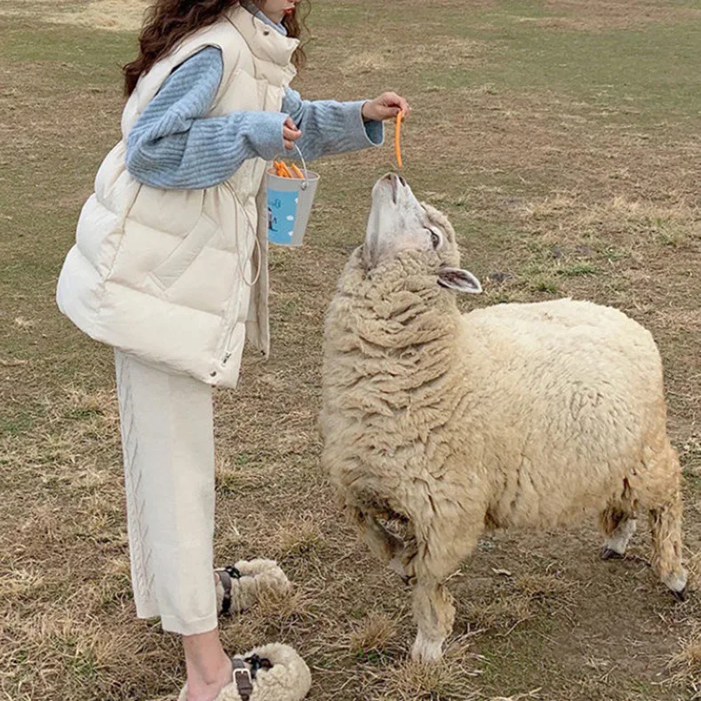 المرأة بطة أسفل سترة خفيفة الوزن أكمام سترة منفوخة قصيرة الوقوف طوق الشتاء صدرية امرأة ملابس خارجية عصرية VT-350