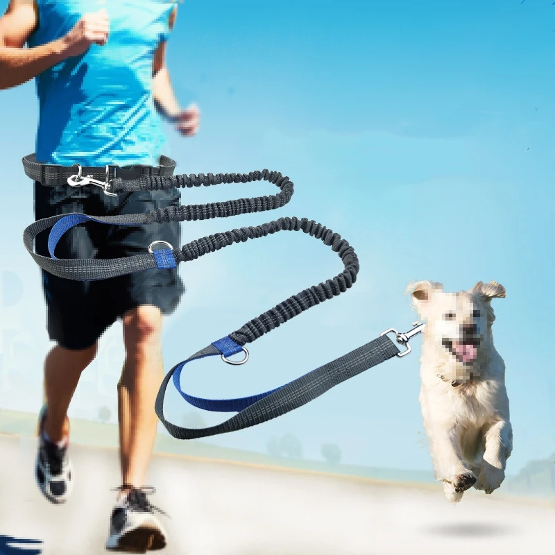 Retractable Hands Free Dog Leash For Running Double Handles Elastic Cord Reflective Large Dog Leash Pet Supplies