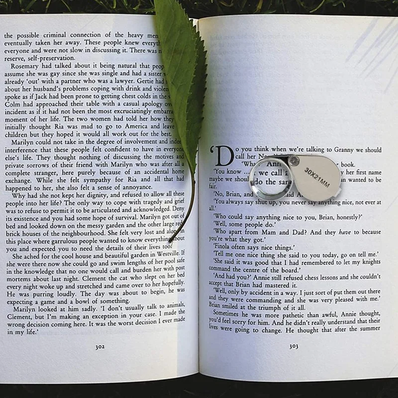 Mini 30 Times Handheld Magnifying Glass 30X21mm Full Metal Ring Magnifying Glass Jewelry Identification