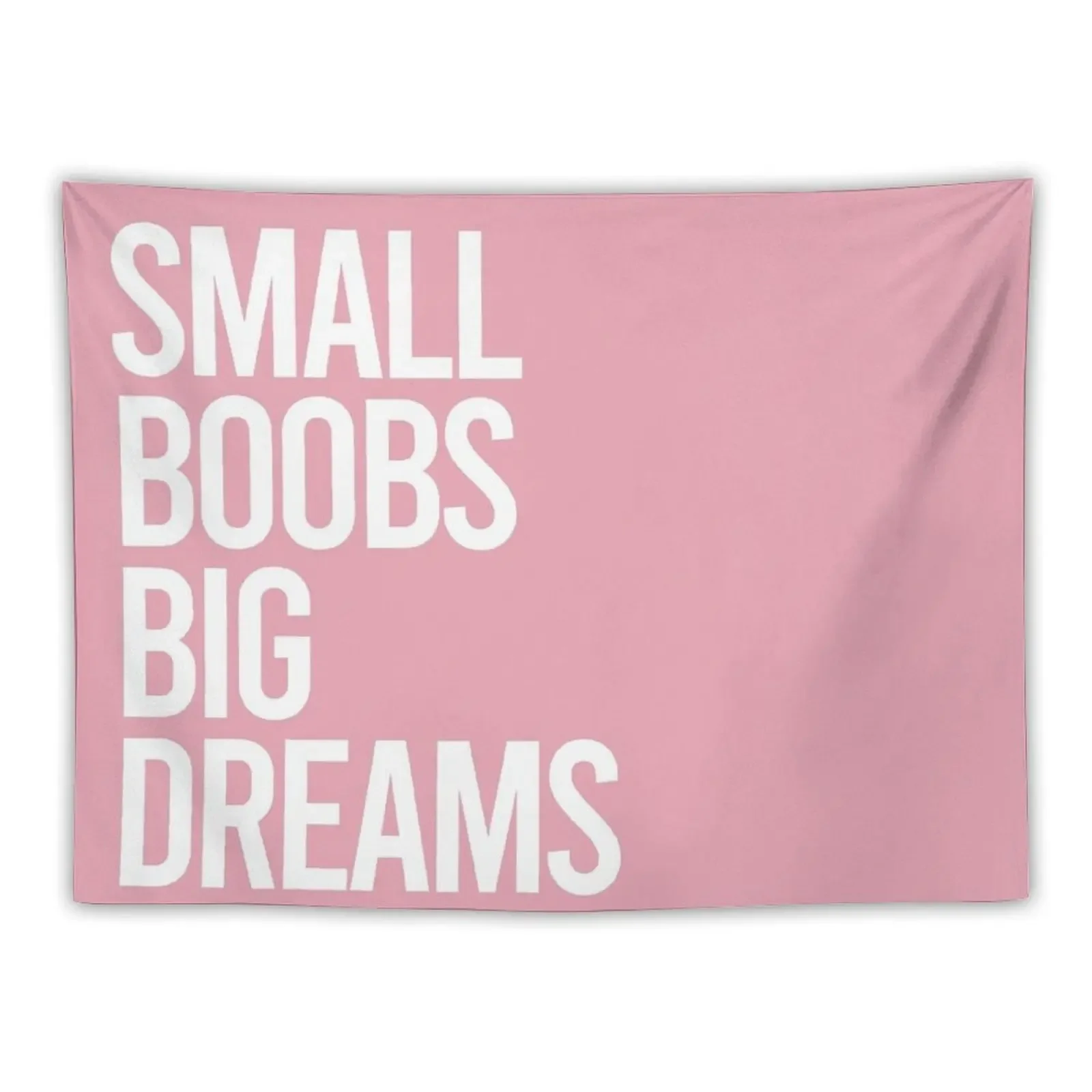 

Small Boobs, Big Dreams (darker Pink) Tapestry Room Aesthetic Decoration Aesthetic Christmas Decoration Tapestry