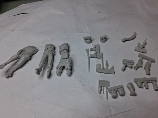 Buyer photo of this resin kit
