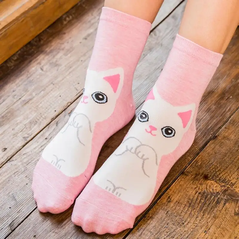 M6CD نساء القطط طباعة الجوارب الكاحل 5 أزواج الأصفاد المرنة مزيج القطن #3