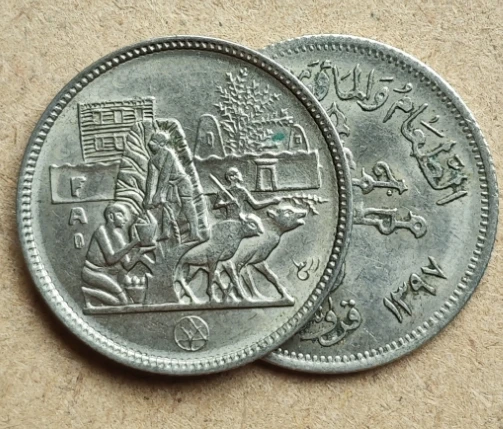 25 ملم مصر 1977 FAO منظمة الطعام العالمية مجموعة العملات المعدنية الأصلية