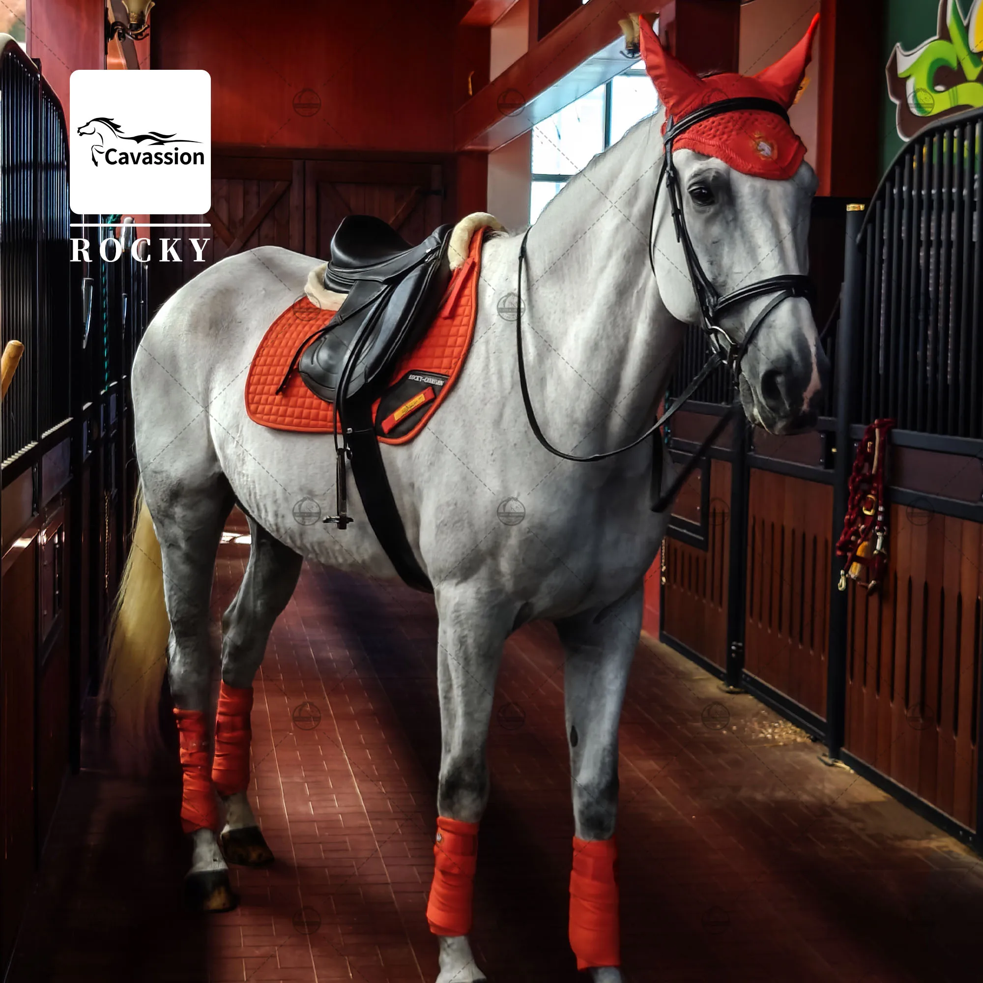 Apenas a corda de chumbo do cavalo, não inclui equipamentos equestres de treinamento de equitação, como capa de orelha de cavalo, almofada de sela, bandagem de perna, halter