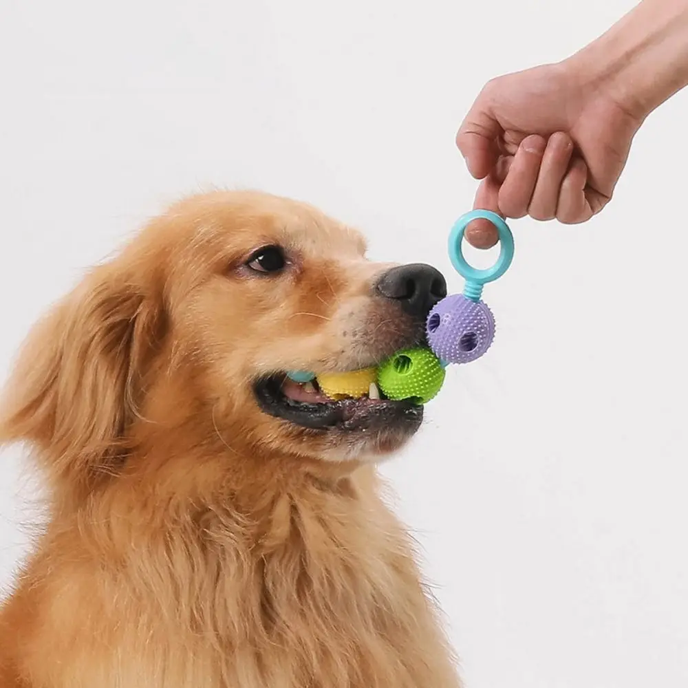 Bite Resistant Dog Tooth Grinding Stick Interactive Colorful Dog Tooth Cleaning Massager Stick TPR Placing Food Dog Toys