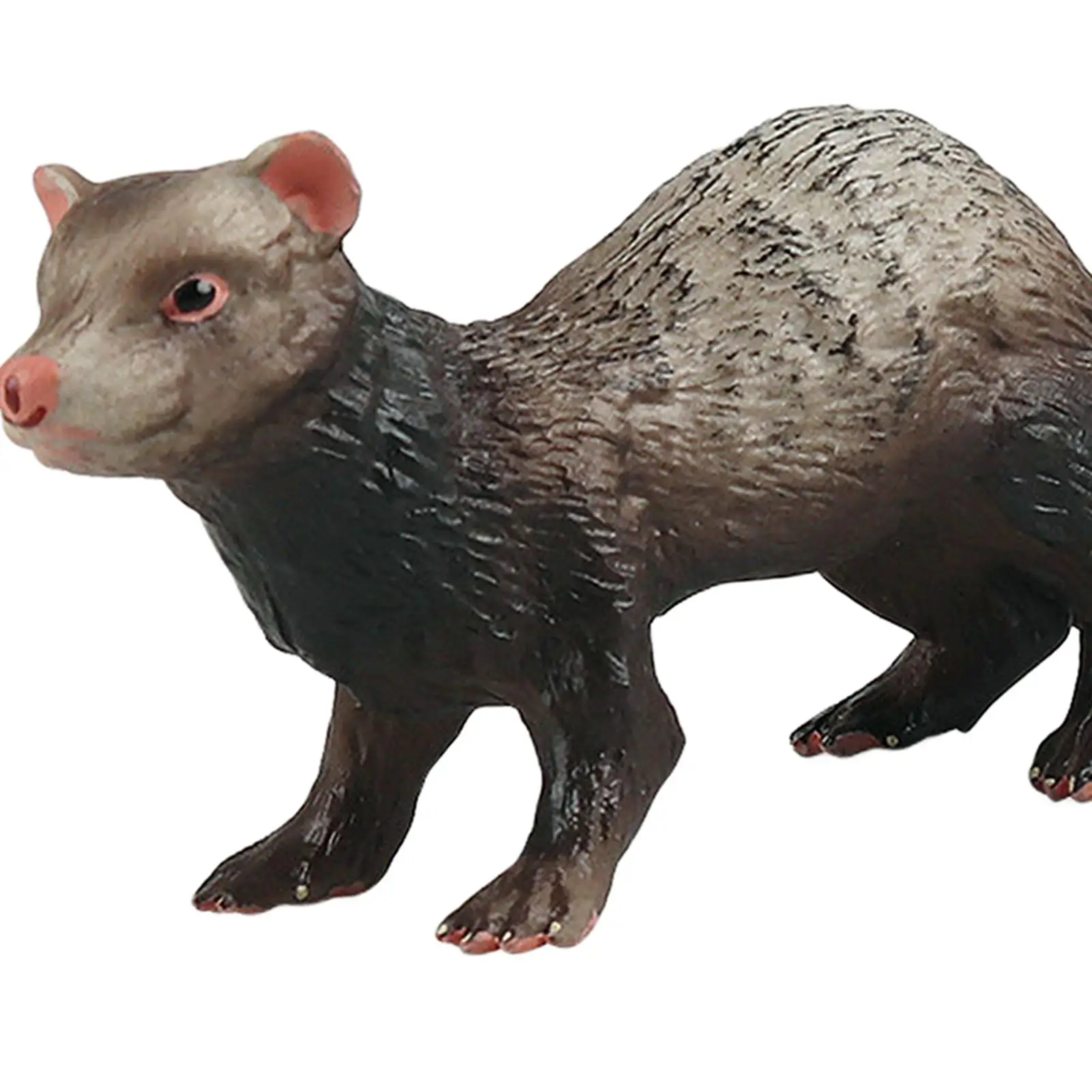 Figurines de simulation de furet d'Auckland, modèle animal, jouet d'apprentissage, ensemble de jeu créatif, cadeaux d'anniversaire