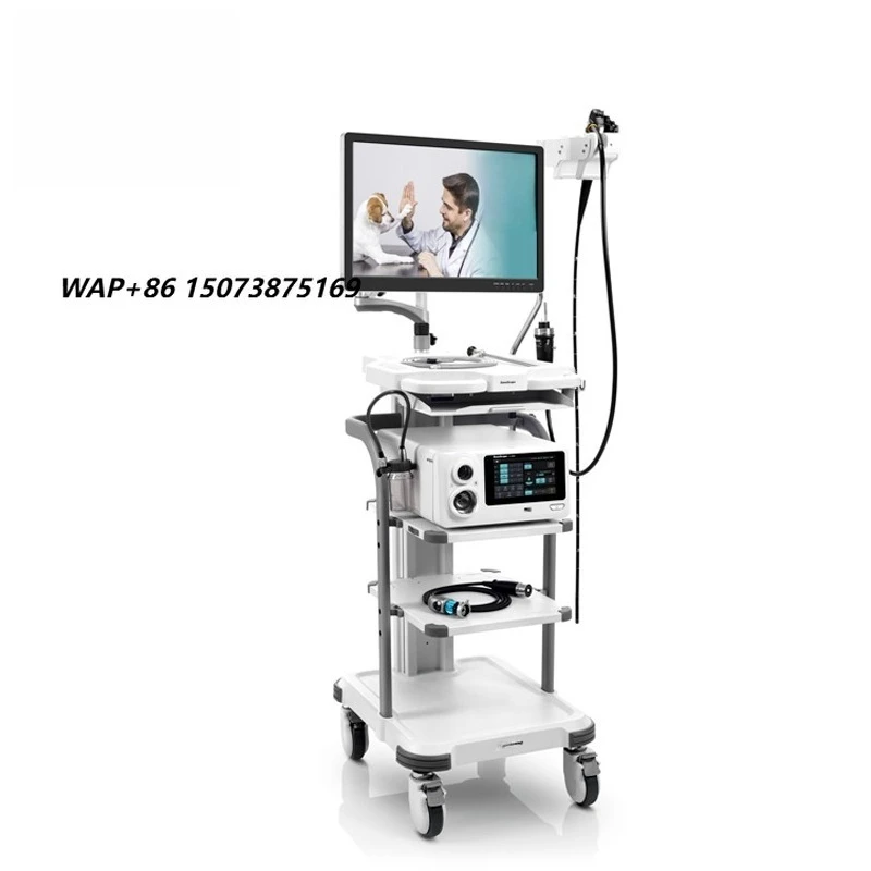 Sonoscape V-2000 Video Flexible Endoscope Animal-specific Integrated Endoscope Veterinary Video System