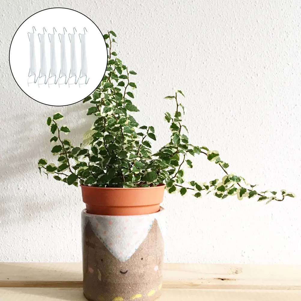 

6Sets Plant Hooks Tomato Vine Climbing Tools Sturdy Garden Accessories for Vines Tomatoes Hooks Garden Supplies