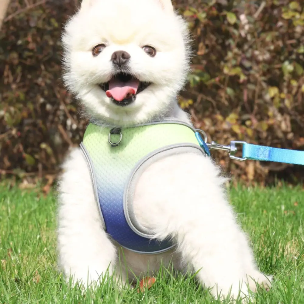 

Gradient Color Dog Harness Vest with Reflective Strap Breathable Dog Chest Back Dog Leash Adjustable Universal Dog Walking Leash