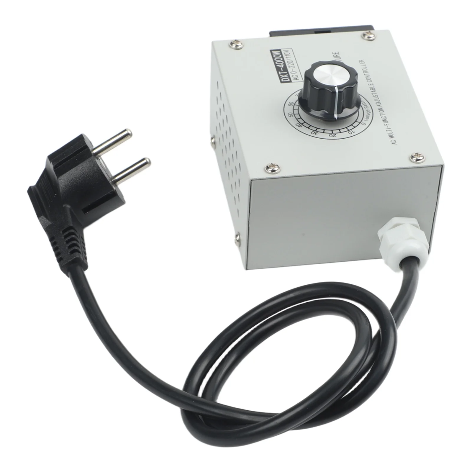 Multifunctional Adjustable Voltage Regulator Ac Motor 4000W AC Controller Overload Protection Galvanized Iron Shell