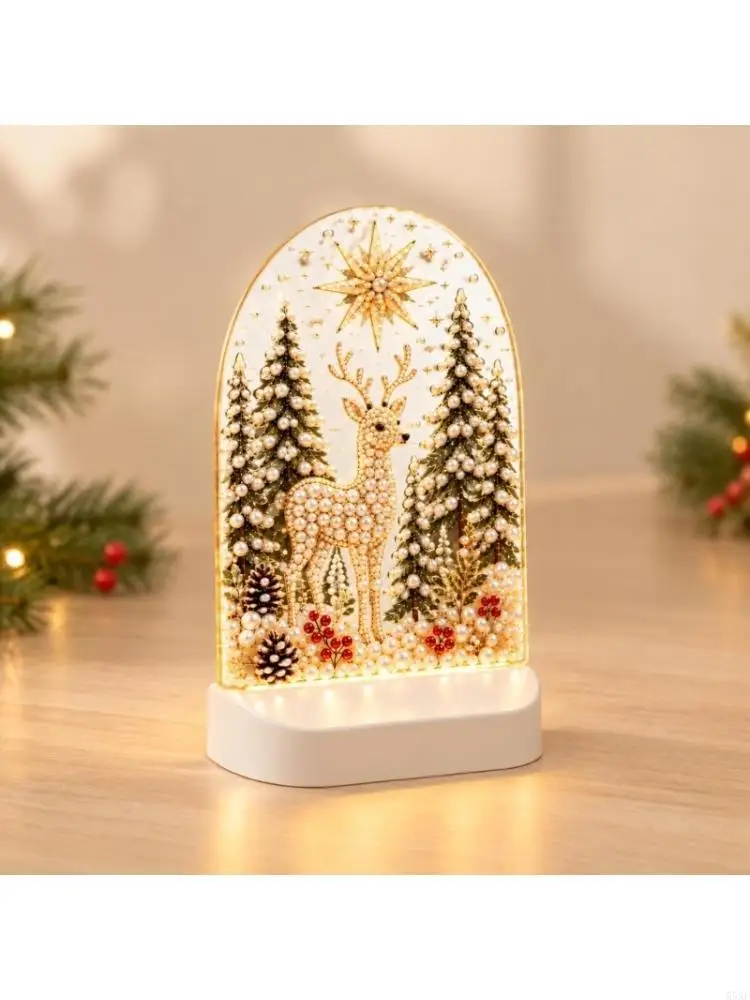 LED Christmas Art Project with Faceted Pieces for Indoor Display 55KF