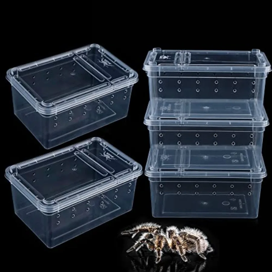 

5 Pcs Spider Small Terrariums Breeding Box Transparent Hatching Container Plastic Feeding Box for Small Reptile Spider Scorpion