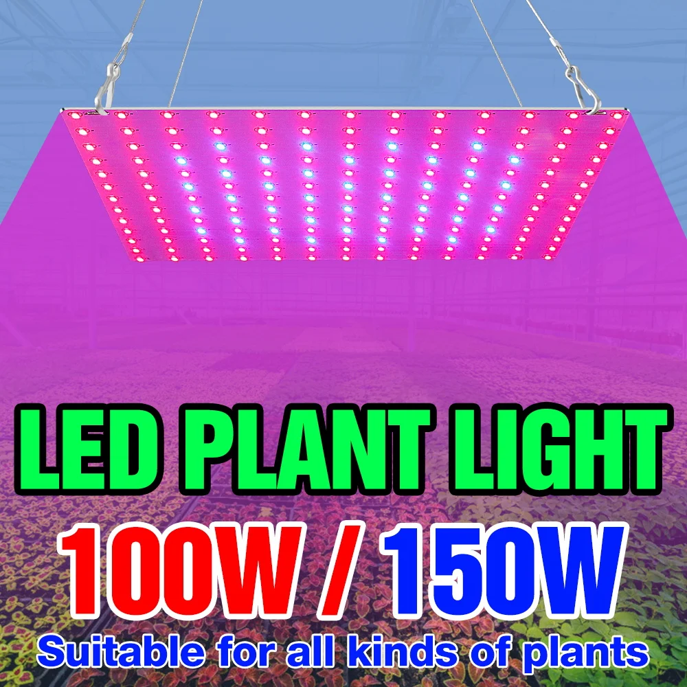 

Светодиодная лампа для растений 150 Вт, полный спектр, Quantum Board, для гидропоники, с вилкой US/EU, для выращивания фруктов, овощей, цветов в теплицах и помещениях