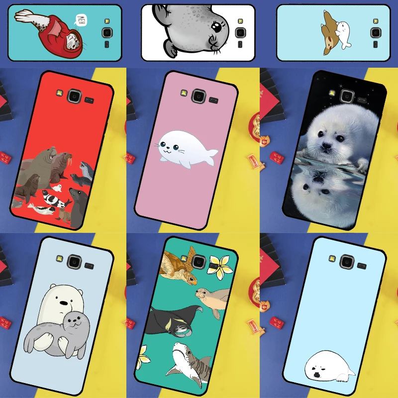 Baby Seals For Sams…