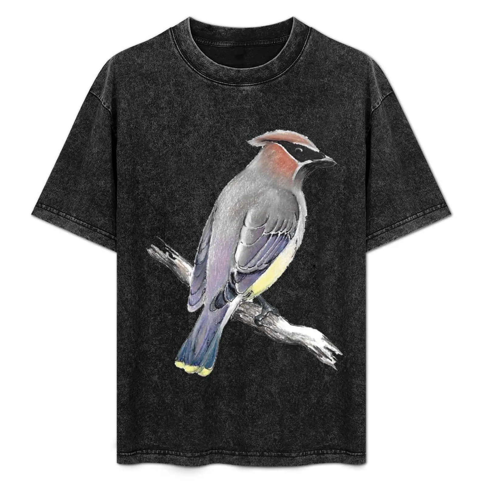 Camiseta Cedar Waxwing Dry Fit para corrida, manga curta
