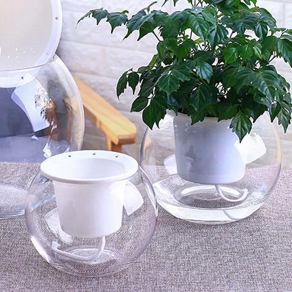 

Набор из 1 шт. автоматического самополивающегося шнура для растений, впитывающий гидропонный материал для комнатных растений и домашнего сада