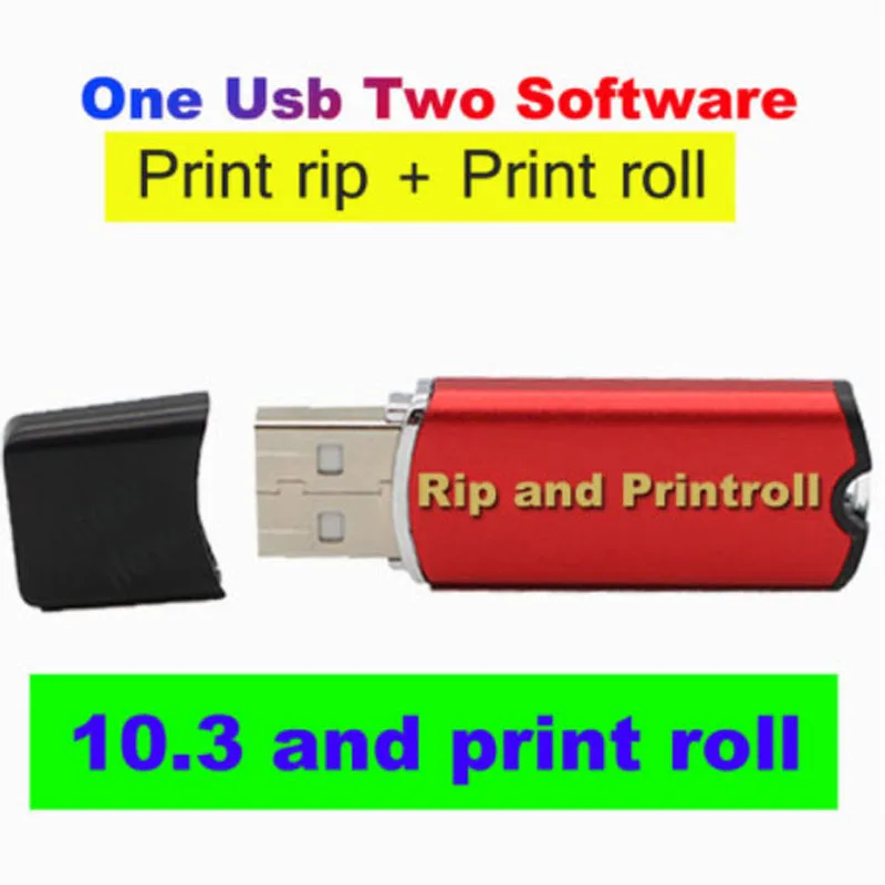 Dongle Keys Rip Software Dtf Uv Usb Key 10.5.2 Printer Roll Print For Epson L1800 L805 L800 R1390 R2000 4880 7880 9880 P6000 Dtf