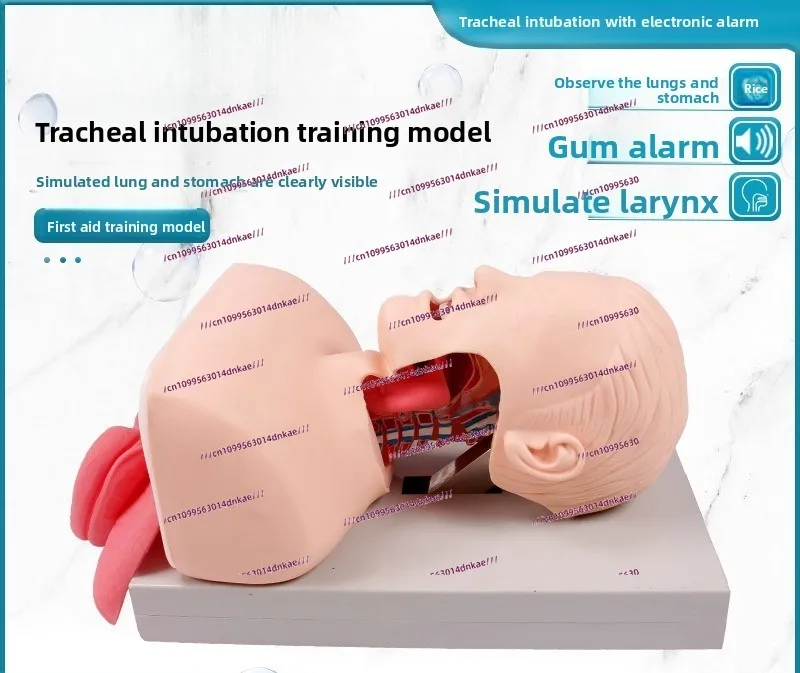 

Hongmo Advanced Electronic Human Body Tracheal Intubation Training Model (with Alarm) Adult Newborn Infant Tracheal Intubation