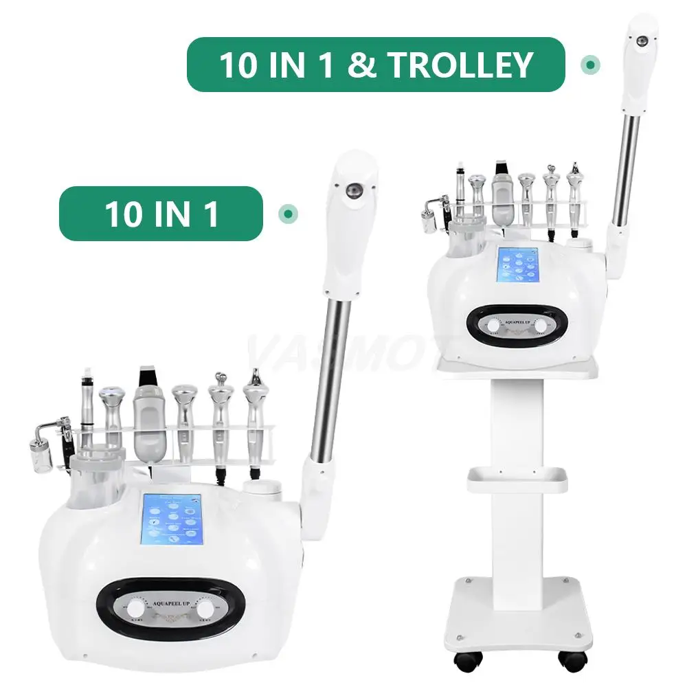 10 In 1 Hot Mist Water Hydrogen Oxygen Facial Deep Clean Jet Peeling Skin Rejuvenation Rf Lifting Led Therapy Beauty