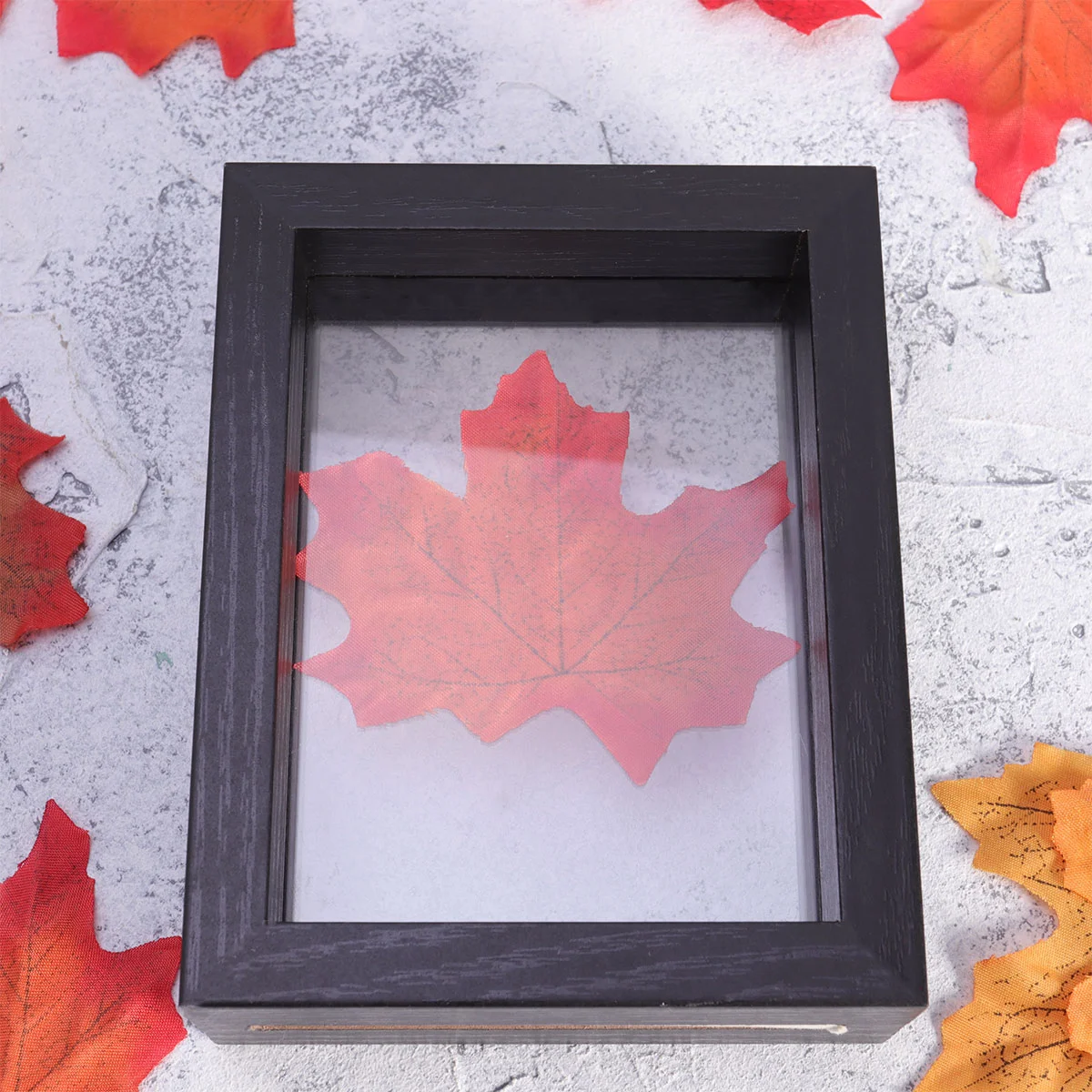 1Pc 6 Inches Double-sided Glass Photo Frame Plant Dried Flower Leaves Specimen Frame DIY Paper-cut Picture Frame