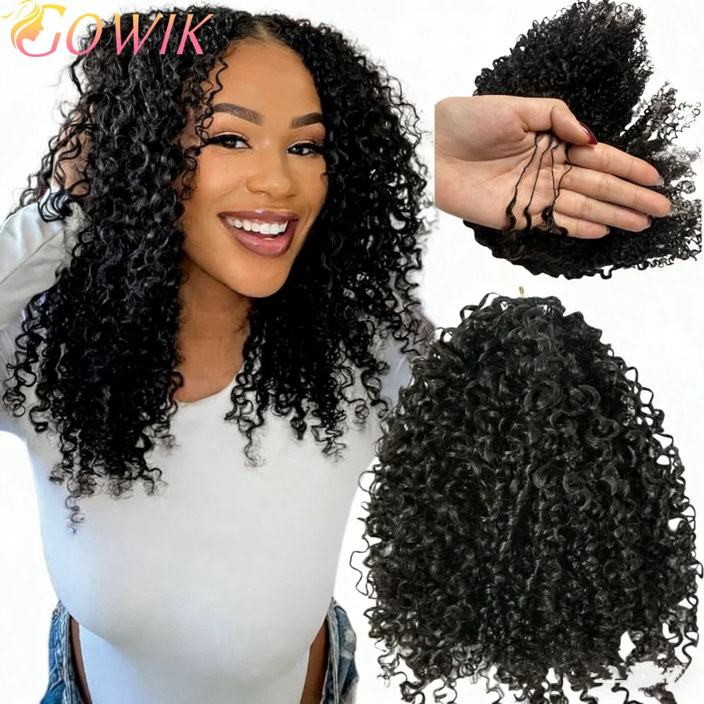 12A Kinky Curly Fea…