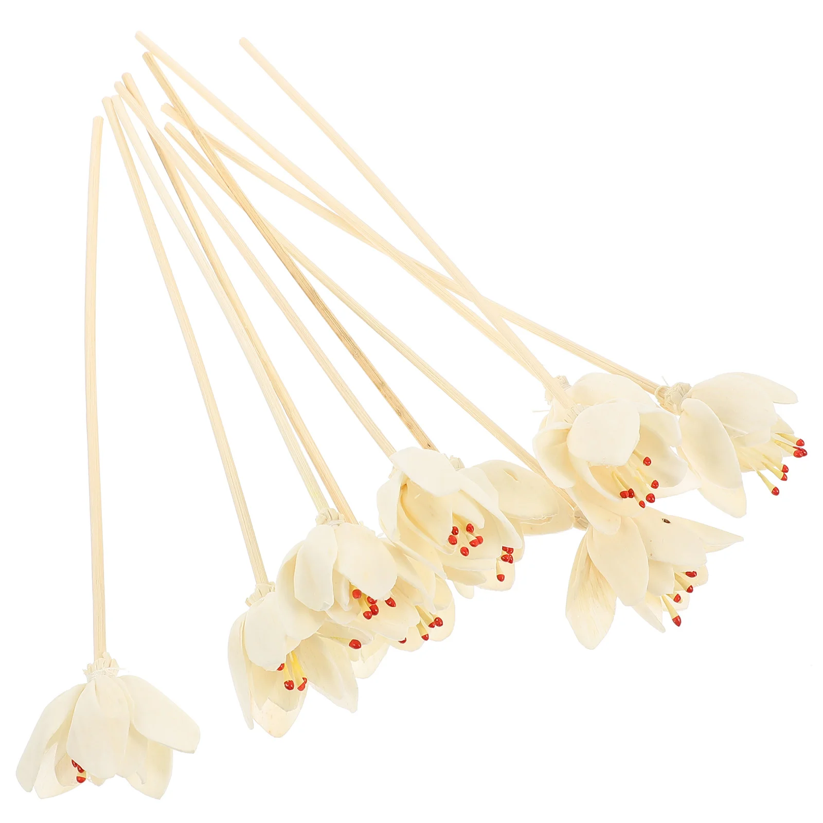 

10 Pcs Aromatherapy Rattan Dried Flower Diffuser Sticks Diffusers Essential Oil Replaceable Reeds Bottle Accessory