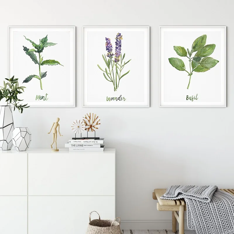 Piante di erbe ad acquerello poster e stampe botaniche verdi su tela pittura Wall Art Picture for coriandolo Kitchen Herbs Home Decor