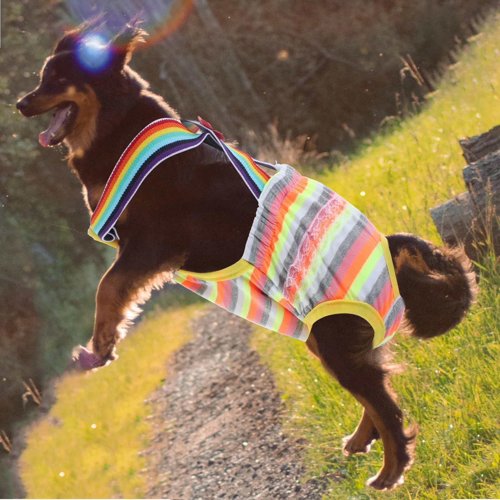 

Female Dog Panties Machine Washable Striped Physiological Underwear for Dogs in Estrus Controls Bleeding Stains Keeps Home Clean