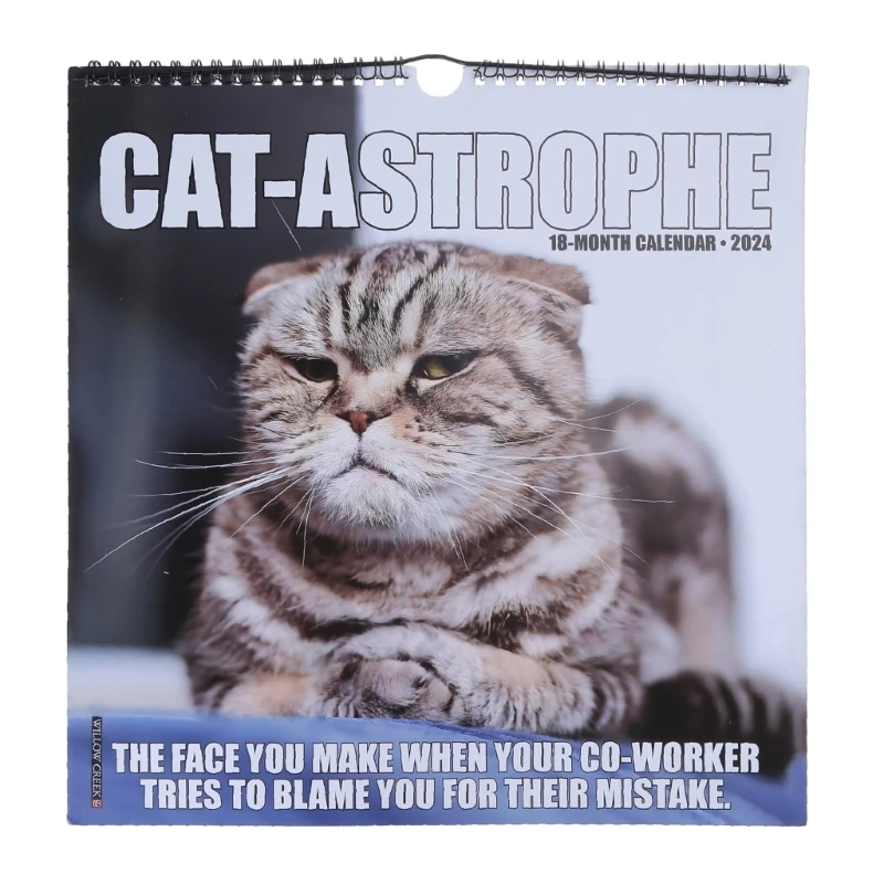 

2024 Calendar for Home & Office Funny Kitten Wall Planner Dropship