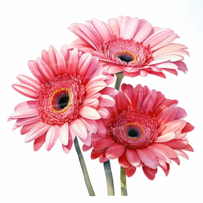 Gerbera Daisy , Pink Flower Wall Sticker Bathroom Toilet Decor Living Room Cabinet Refrigerator Home Decoration Decals S1020