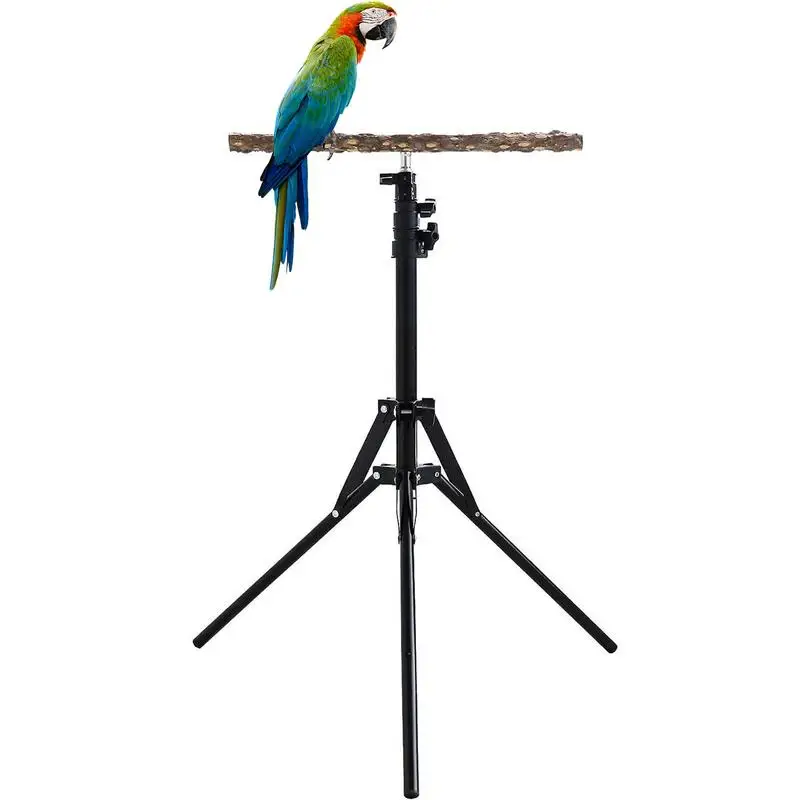 

Adjustable Bird Perches 15.74-61.81inch Height Adjustable Bird Training Perch Stand Natural Wood Parrot Perch Toy Bird Training