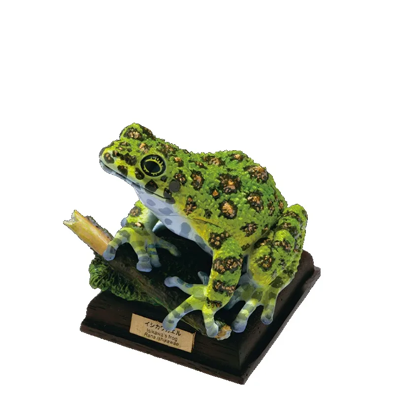 Original KITAN CLUB Gashapon Frog Toad Qversion Mini Anime Animal Action Figure Model Toys Gifts Cartoon Character Collection