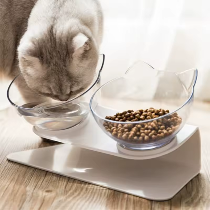Non-slip Double Elevated Cat Bowls with Stand, 15 Tilte Raised Cat Watering & Feeding Bowls, Neck Guard Pet Feeder Bowl for Cat
