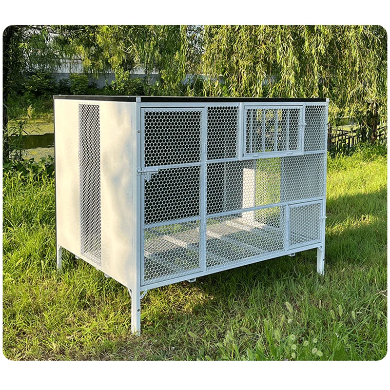 Special cage for raising pigeons Extra large homing pigeon public shed release cage training cage Outdoor rain-proof