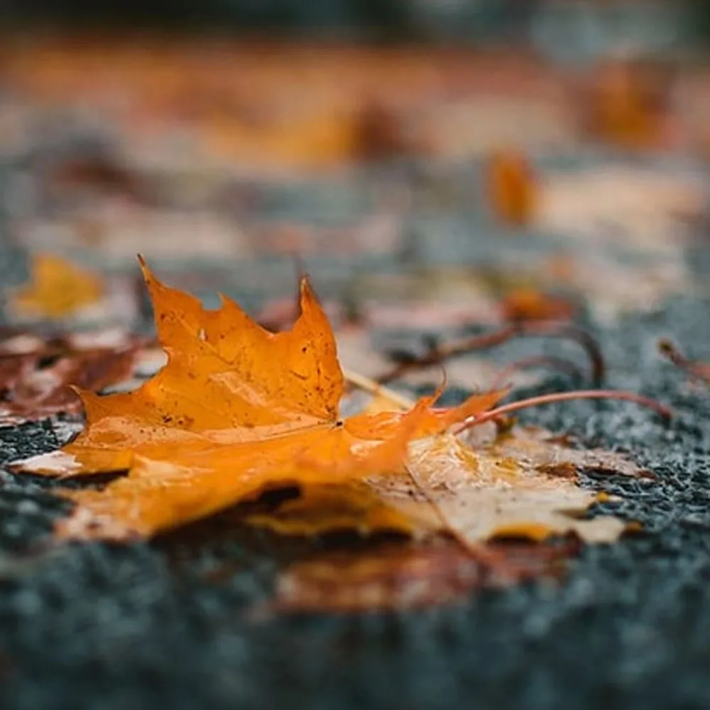 

Крышка станции Cap Top для принтера Epson Surelab D700 D800 Frontier Fuji DX100 Крышка сверху