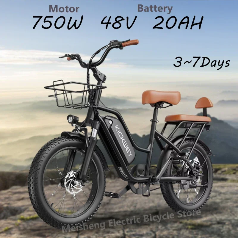 

ebike LD20 женский электрический велосипед 750 Вт 48 В 20 Ач литиевый велосипед с питанием от батареи мужской/женский городской электрический велосипед для взрослых