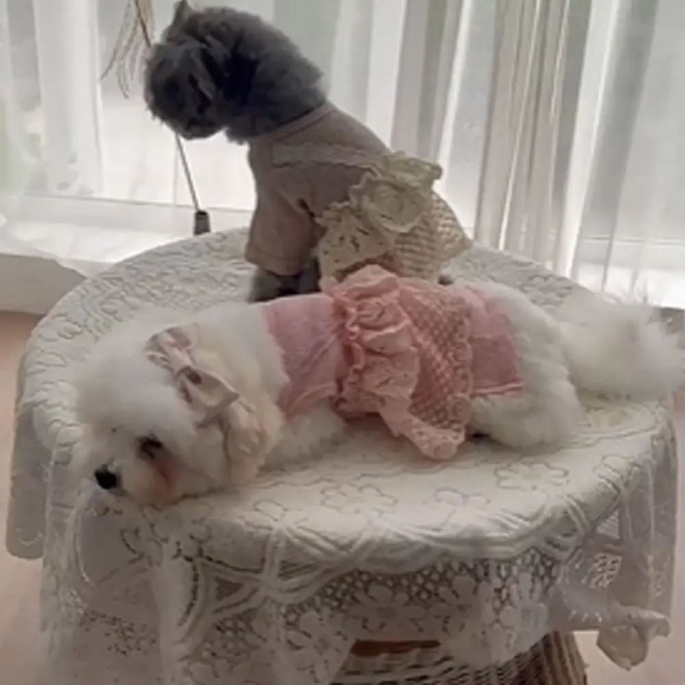 Camisola de encaje a la moda para mascotas, mono de primavera y verano, pijamas transpirables de encaje tipo gofre para perros, abrigo suave de cuatro patas para mascotas, otoño