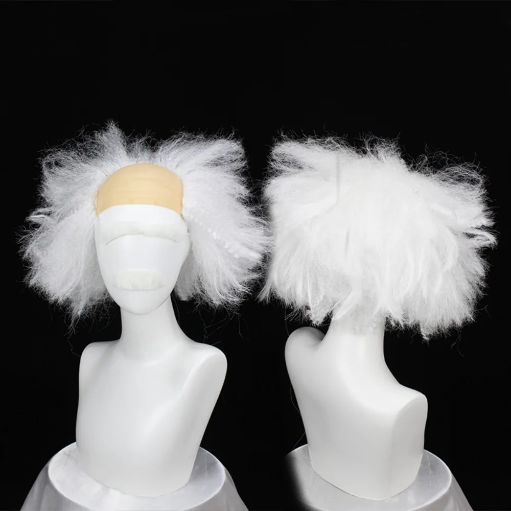 

Albert Einstein Wig and Beard Set Grey White Crazy Frizzy Hair Mustache Halloween Costume