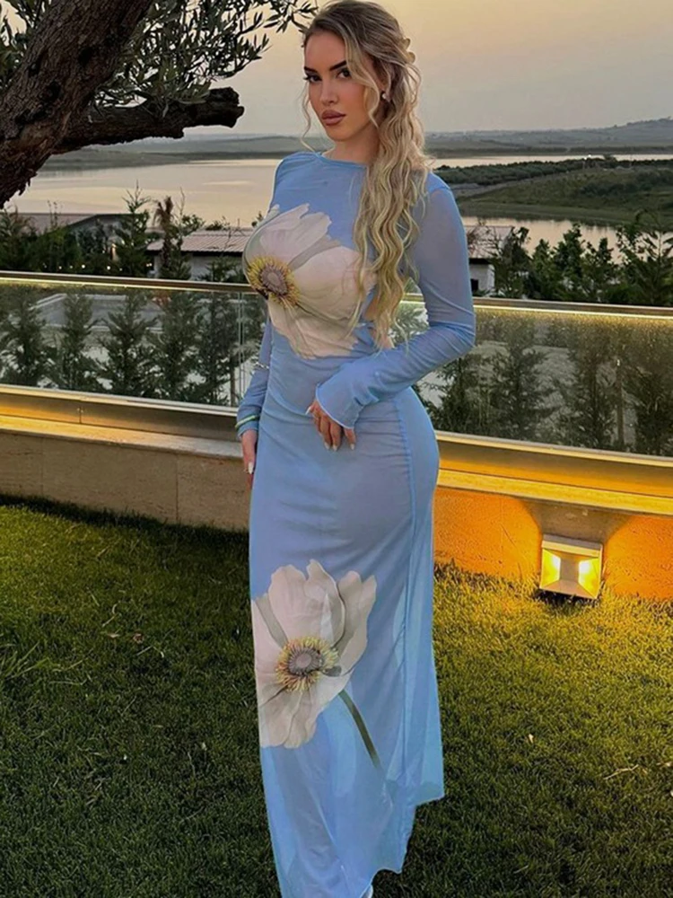 Sibybo Blumendruck Mesh Sheer Maxikleid für Damen, rückenfrei, Rundhalsausschnitt, lange Ärmel, figurbetontes Partykleid, Sommerurlaub, Strandmode