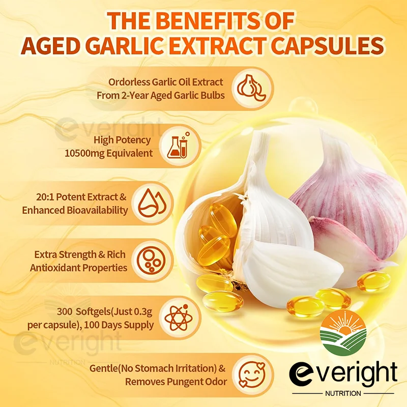 Aged Garlic Extract Capsules – Odorless Formula with Magnesium, Chromium, B1 & B9 – Supports Immune, Heart & Cardiovascular Heal